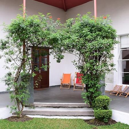 Hotel La Casa De Las Magnolias Coyoacan Exterior foto