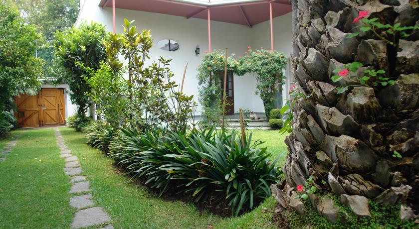 Hotel La Casa De Las Magnolias Coyoacan Exterior foto
