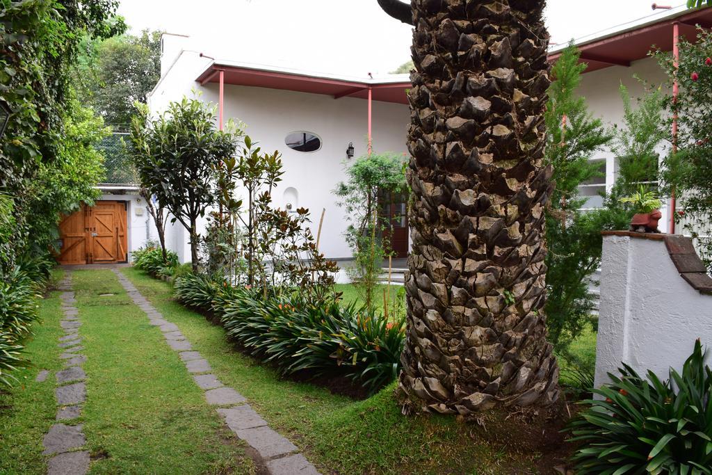 Hotel La Casa De Las Magnolias Coyoacan Exterior foto