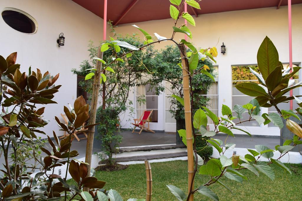 Hotel La Casa De Las Magnolias Coyoacan Exterior foto