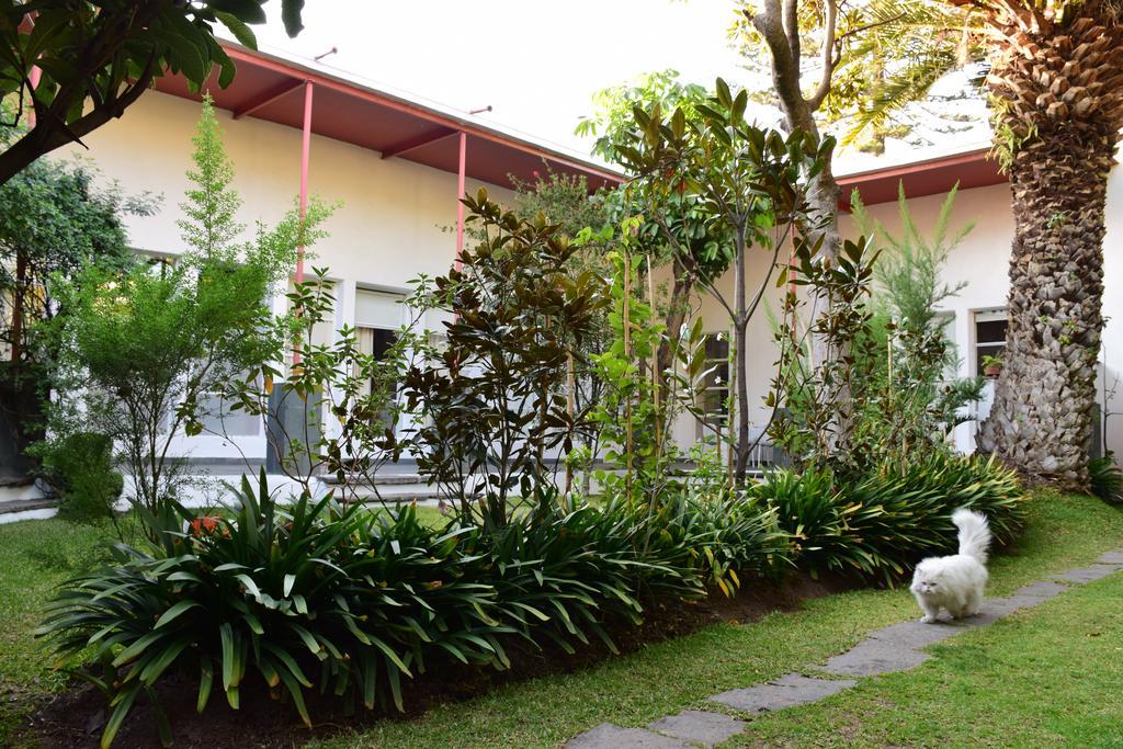 Hotel La Casa De Las Magnolias Coyoacan Exterior foto